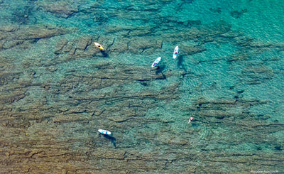 5 Things You Should Look Out For Before Deciding To Go Paddle Boarding