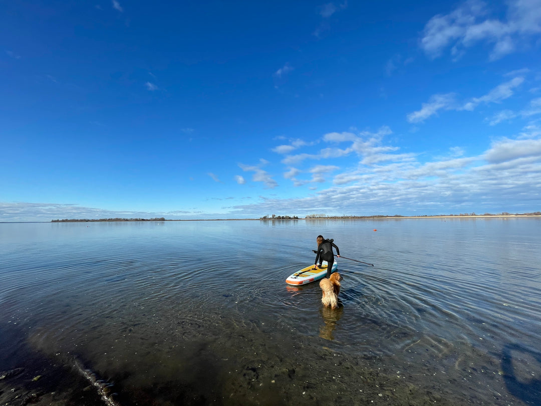 SUP in River vs SUP in Ocean