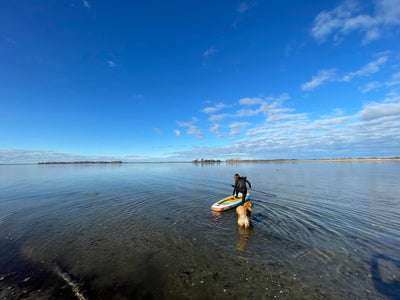 Paddling In A River VS. Paddling In The Ocean Updated In 2022