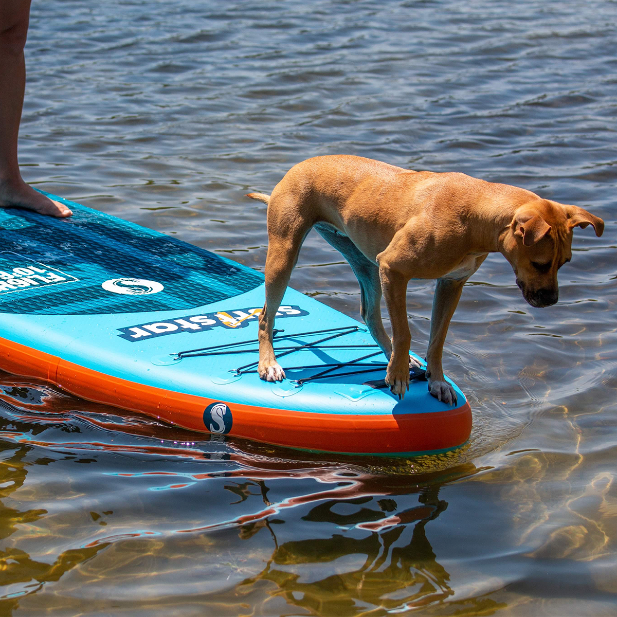 SurfStar SUP Board